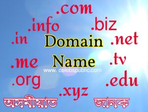 domain information