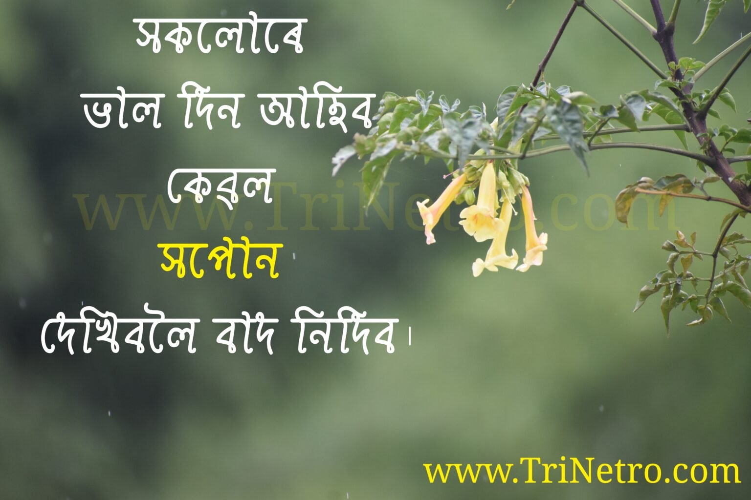 200+ Best Assamese caption for Instagram on Attitude, love, life, sad, Bihu, Mother