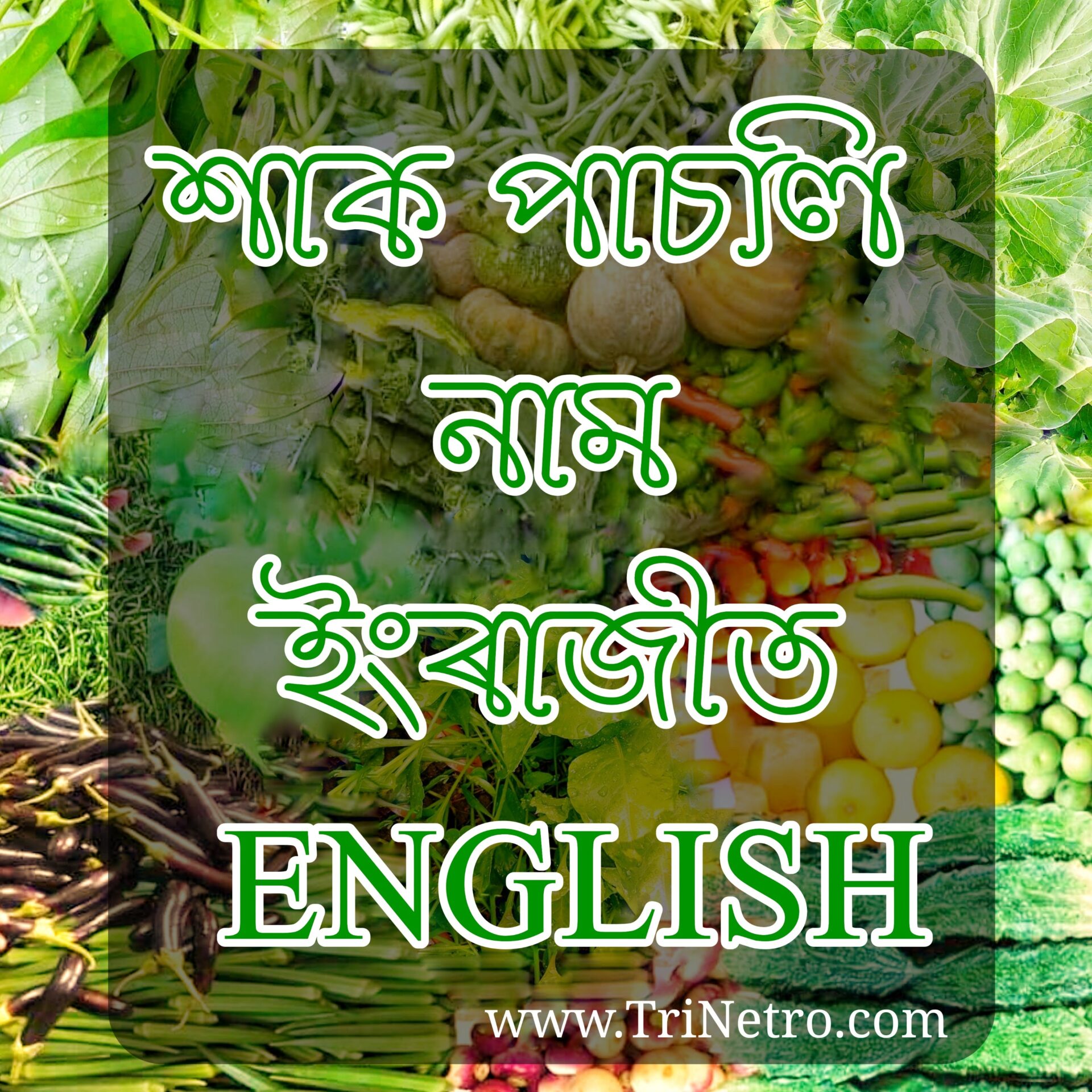 assamese english vegetables name808899445882141754516837221906 scaled